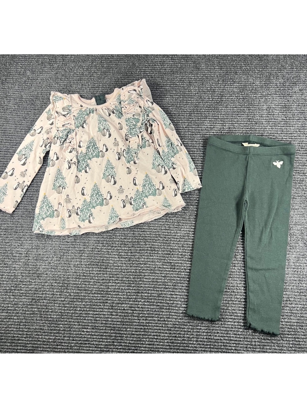 Burt’s Bees Girls' 2T Penguin Print Long Sleeve Top and Green Leggings Set